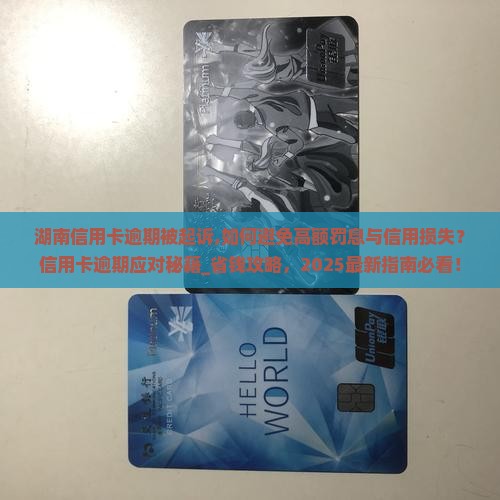 湖南信用卡逾期被起诉