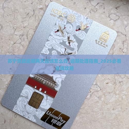 苏宁贷款逾期两天应该怎么办