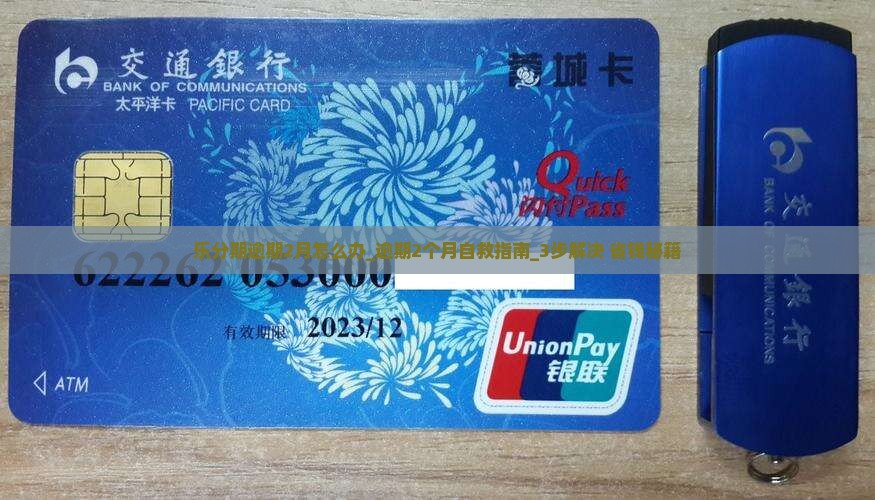 乐分期逾期2月怎么办
