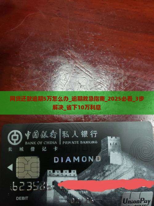 网贷还款逾期5万怎么办