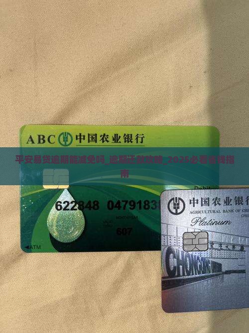 平安易贷逾期能减免吗