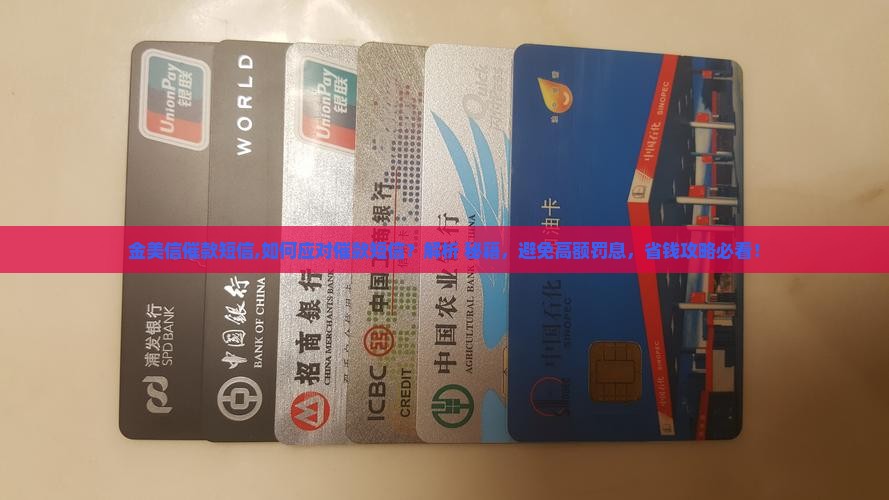 金美信催款短信