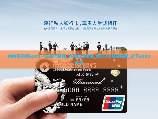 拍拍贷逾期6000一年如何处理