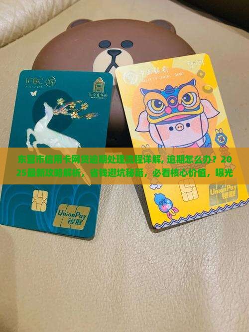 东营市信用卡网贷逾期处理流程详解