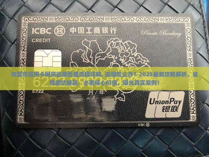东营市信用卡网贷逾期处理流程详解
