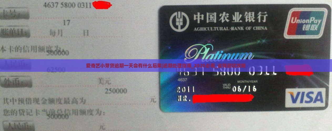 爱奇艺小芽贷逾期一天会有什么后果