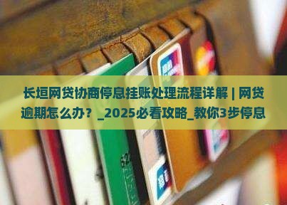 长垣网贷协商停息挂账处理流程详解
