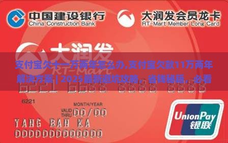 支付宝欠十一万两年怎么办