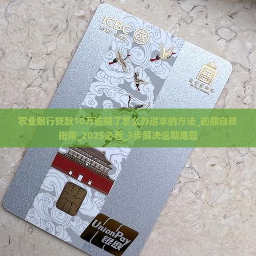 农业银行贷款10万逾期了怎么办追求的方法