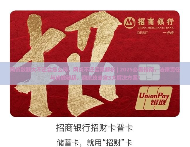 网贷数额大不还会怎么样
