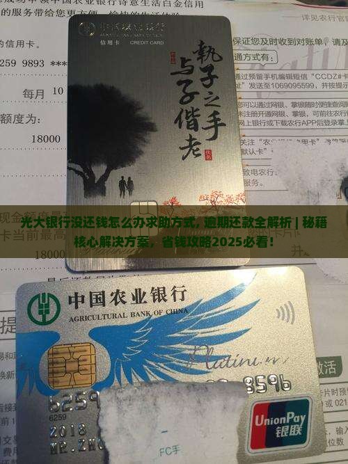 光大银行没还钱怎么办求助方式