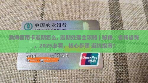 渤海信用卡逾期怎么办理