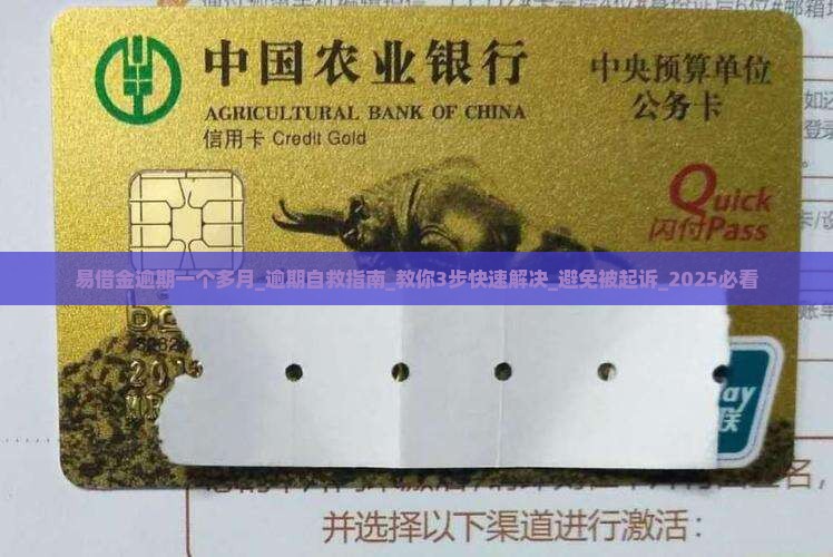 易借金逾期一个多月