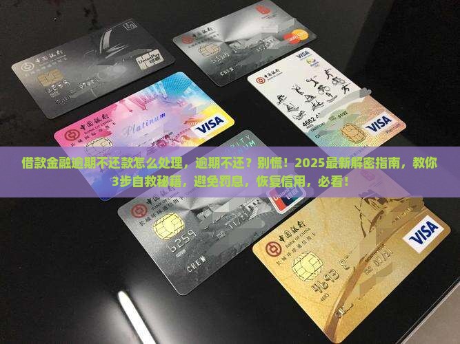 借款金融逾期不还款怎么处理