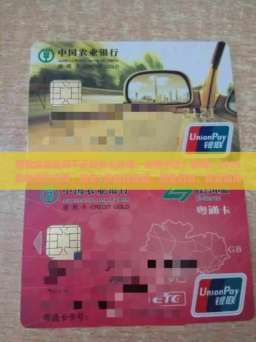 借款金融逾期不还款怎么处理