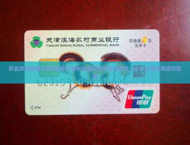 农业贷款逾期6月问题解答