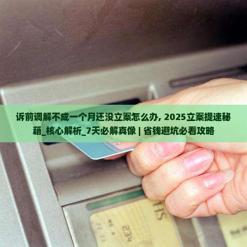 诉前调解不成一个月还没立案怎么办