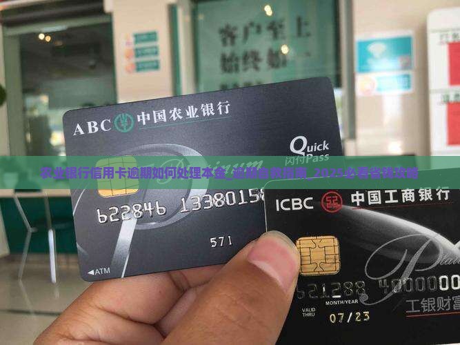 农业银行信用卡逾期如何处理本金