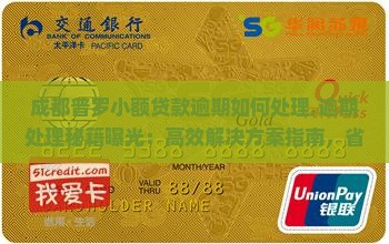 成都普罗小额贷款逾期如何处理