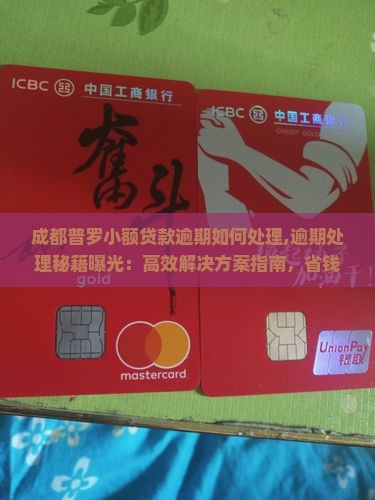 成都普罗小额贷款逾期如何处理