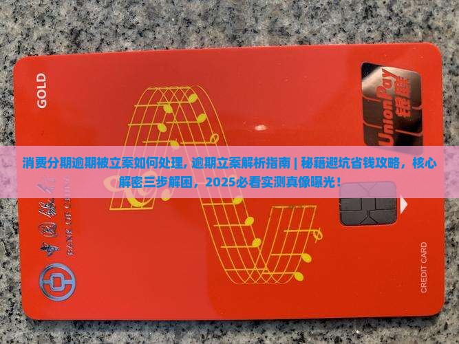消费分期逾期被立案如何处理