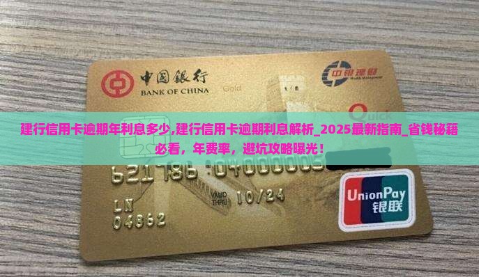 建行信用卡逾期年利息多少