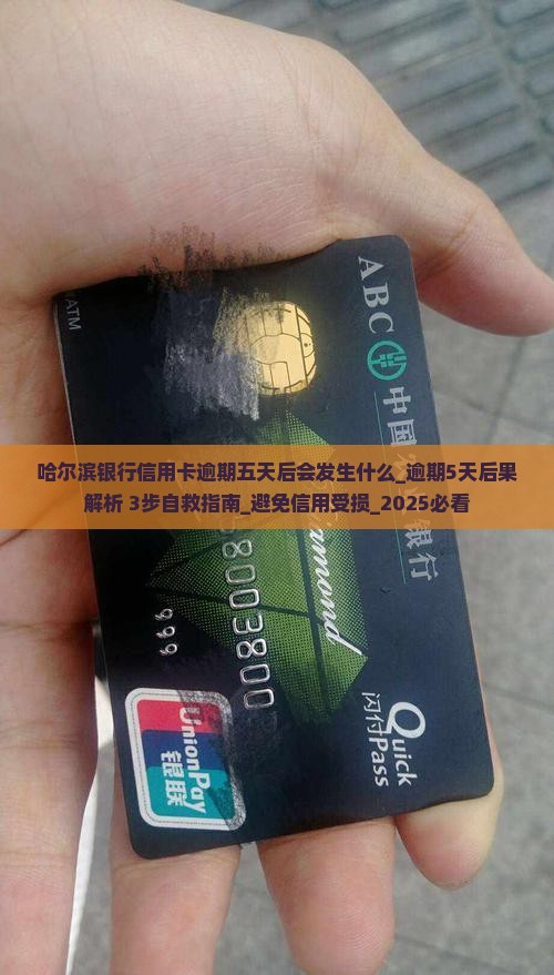 哈尔滨银行信用卡逾期五天后会发生什么
