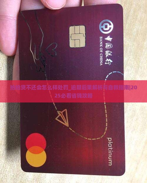 拍拍贷不还会怎么样处罚