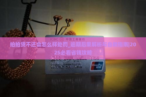 拍拍贷不还会怎么样处罚