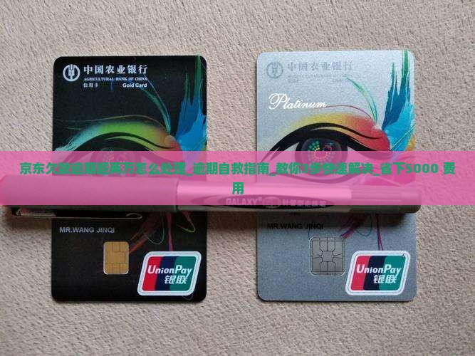 京东欠款逾期超两万怎么处理