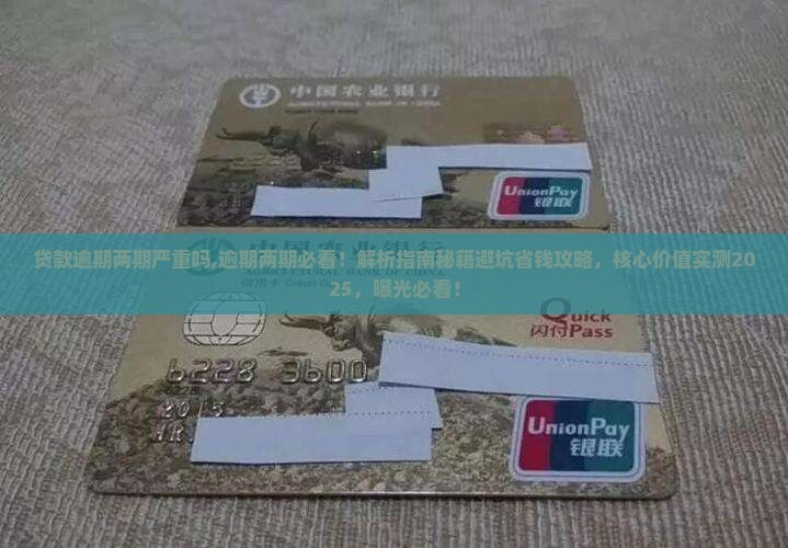 贷款逾期两期严重吗