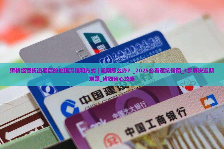狮桥经营贷逾期后的处理流程和方式