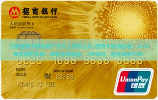 几张信用卡都逾期了还不上要怎么办