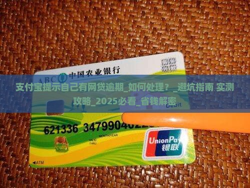 支付宝提示自己有网贷逾期该如何处理