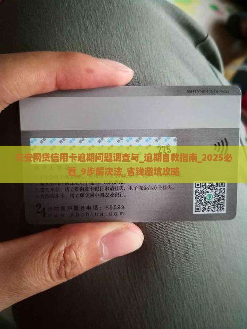 兴安网贷信用卡逾期问题调查与