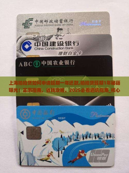 上海拍拍贷如何申请延期一年还款