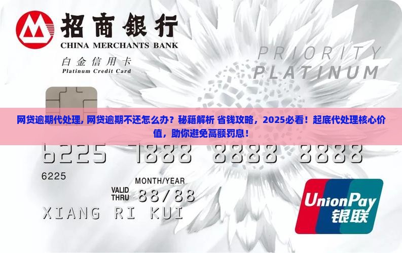 网贷逾期代处理