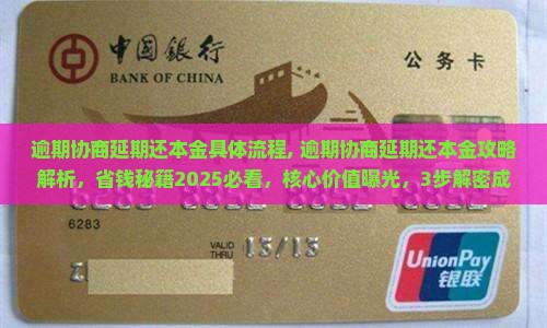 白条逾期协商延期还本金具体流程