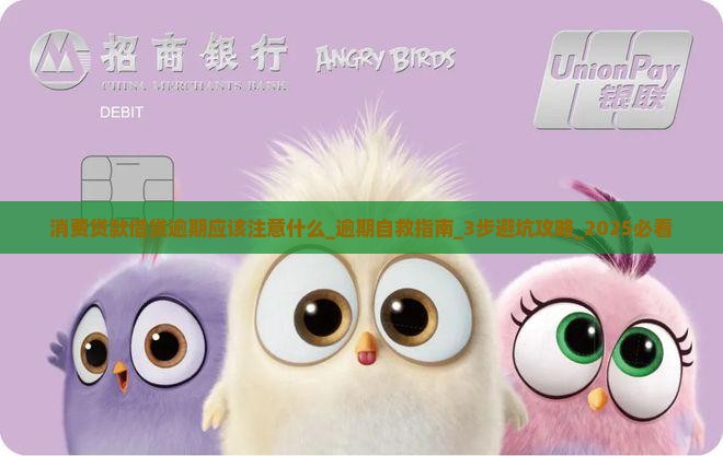 消费贷款借贷逾期应该注意什么