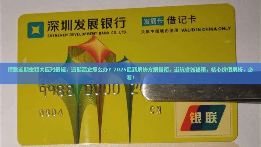 借款逾期金额大应对措施
