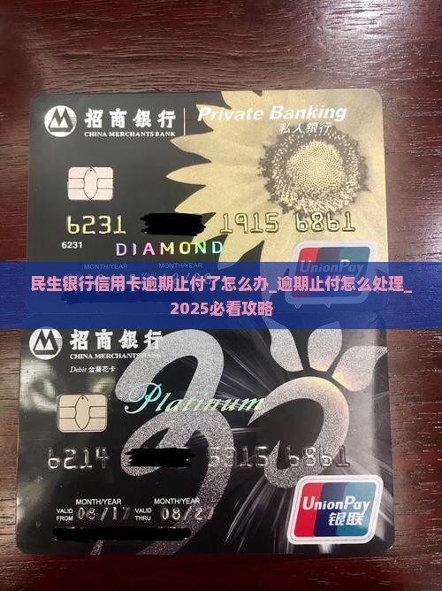 民生银行信用卡逾期止付了怎么办