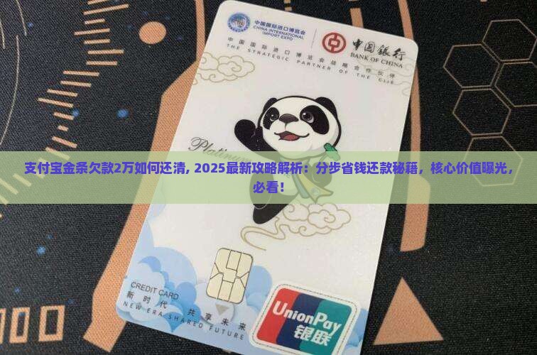 支付宝金条欠款2万如何还清
