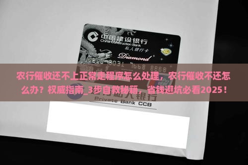 农行催收还不上正常走程序怎么处理