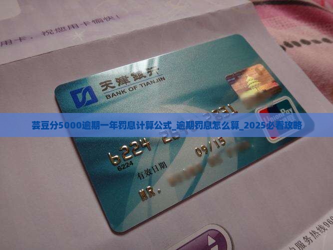 芸豆分5000逾期一年罚息计算公式