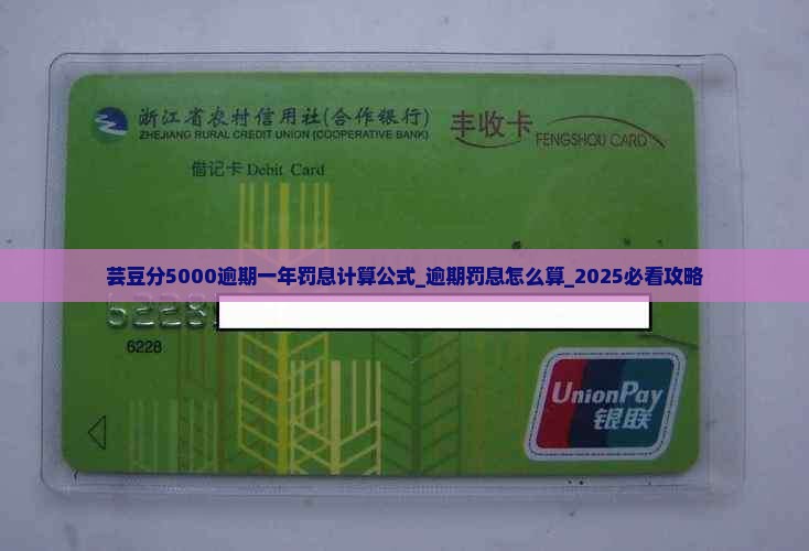芸豆分5000逾期一年罚息计算公式