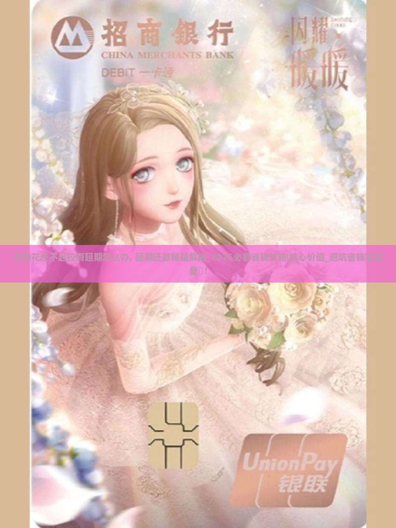 有钱花还不起拉有延期怎么办