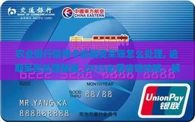 农业银行信用卡逾期变呆账怎么处理