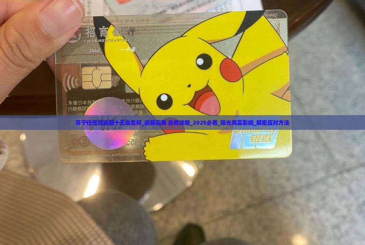 苏宁任性贷逾期十天会怎样