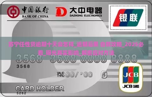 苏宁任性贷逾期十天会怎样