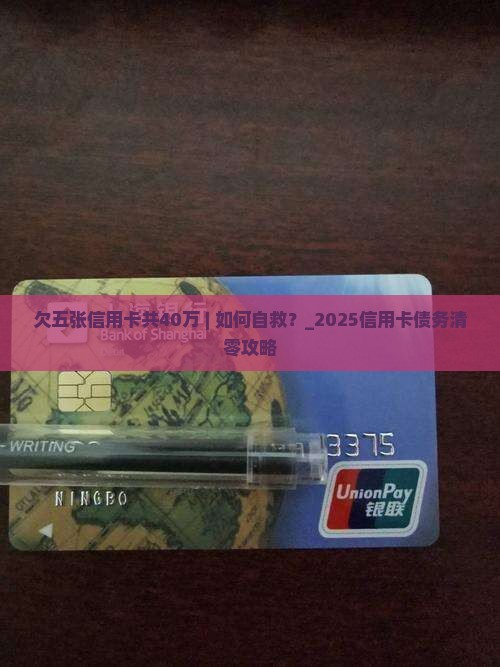欠五张信用卡共40万